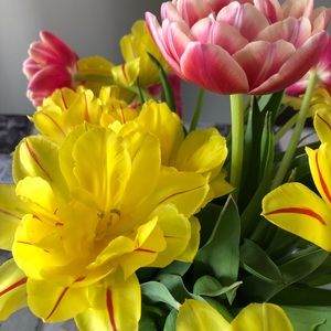 Meet your Posher, Irene